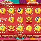 lucky fortune slot